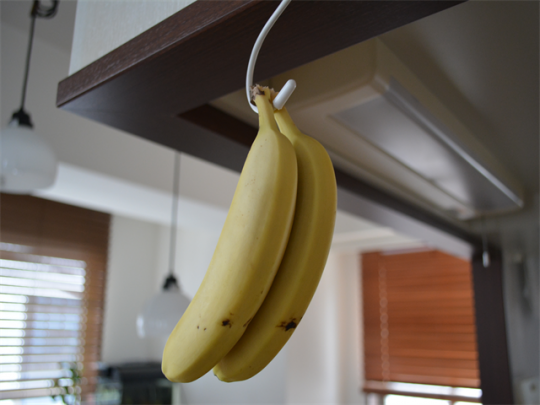 バナナスタンドで 本当にバナナは長持ちするのか Chintai情報局