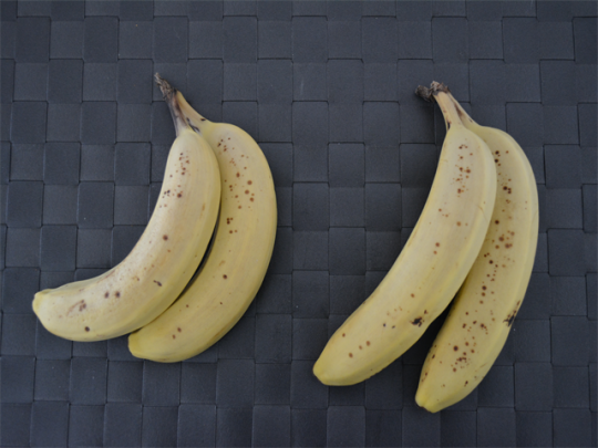 バナナスタンドで 本当にバナナは長持ちするのか Chintai情報局